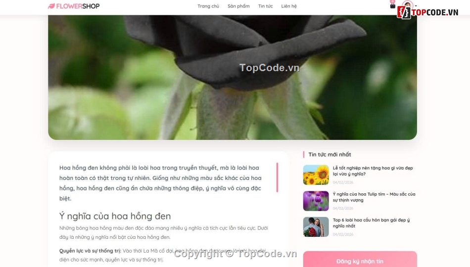 bán hoa,shop hoa,mới nhất